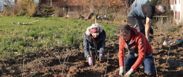 Event-Image for 'Natur verbindet &ndash; eine Niederhecke f&uuml;r Waldstatt'