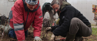 Event-Image for 'Natur verbindet &ndash; Heckenaufwertung am Grabserberg'