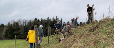 Event-Image for 'Natur verbindet - Heckenpflanzung auf dem Hof Wannenwis'