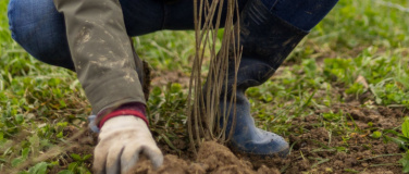 Event-Image for 'Natur verbindet - mehr Hecken für Waldkirch'