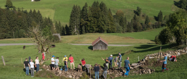 Event-Image for 'Natur verbindet - Trockenmauer bauen'