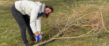 Event-Image for 'Natur verbindet &ndash; Wieselburgen auf Waldlichtung in Appenzell'