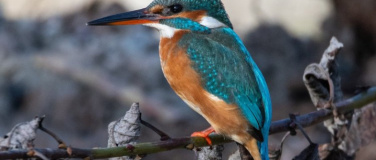 Event-Image for 'Naturjuwel Haberfeld'