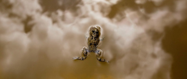 Event-Image for 'Naturjuwel Lehmt&uuml;mpel'