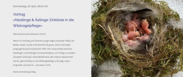 Event-Image for 'Nestlinge und &Auml;stlingen: Einblicke in die Wildvogelspflege'