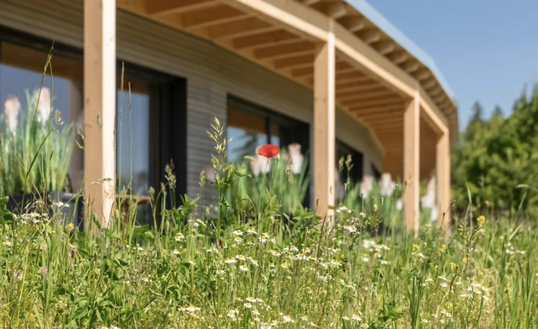 Event-Image for 'Mittsommer RETREAT - Fr&uuml;hbucher'