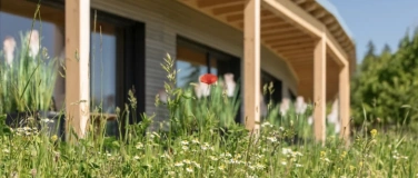 Event-Image for 'Mitt-Sommer-RETREAT'