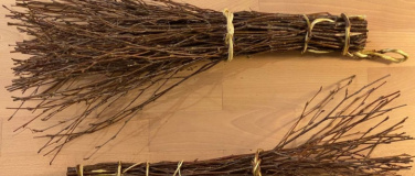 Event-Image for 'Neue Besen kehren gut'