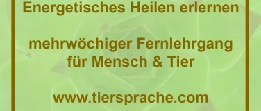 Event-Image for 'Energetisches Heilen erlernen (Online-Seminar)'
