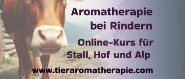 Event-Image for 'Aromatherapie im Kuhstall'