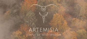 Event organiser of Zykluszeit - Hormonwissen, Pflanzenkraft & weibliche Magie