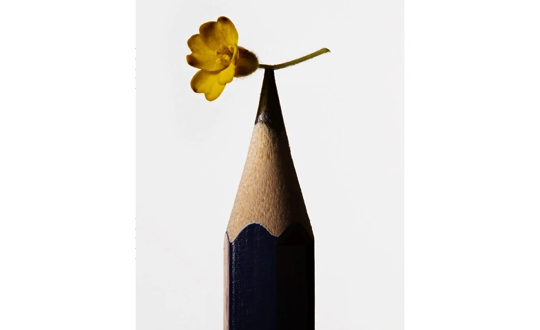 Event-Image for 'Pour tout faire, il faut une fleur'