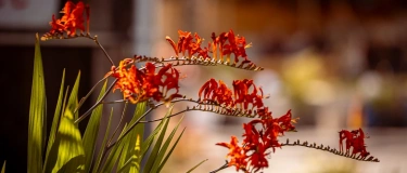 Event-Image for 'Zeit für Dich - Tanken - Entspannen - Stärken'