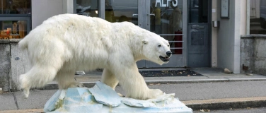 Event-Image for 'Der grosse Wandel. Lokale Folgen. Globale Perspektiven'