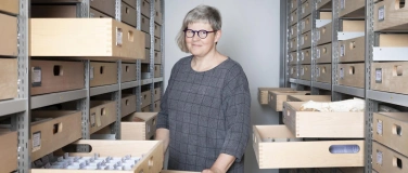 Event-Image for 'Führungen hinter die Kulissen – Typusmaterial'
