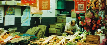 Event-Image for 'NO WORK – NO LIFE: Bentō-Boxen-Lunch'