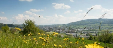 Event-Image for 'Exkursion ins Naturschutzgebiet Reinach am Homberg'