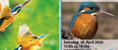 Event-Image for 'Ein Vogelspaziergang in der Reussebene bei Rottenschwil'