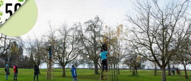 Event-Image for 'Obstb&auml;ume richtig schneiden'
