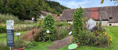 Event-Image for '&Ouml;ffentliche F&uuml;hrung durch den Samengarten Hortiplus'