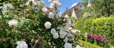 Event-Image for '&Ouml;ffentliche F&uuml;hrung: Rosenpracht in der Kartause Ittingen'