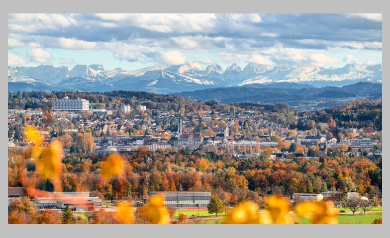 Event-Image for '&Ouml;ffentliche F&uuml;hrungen 2026 in Frauenfeld'