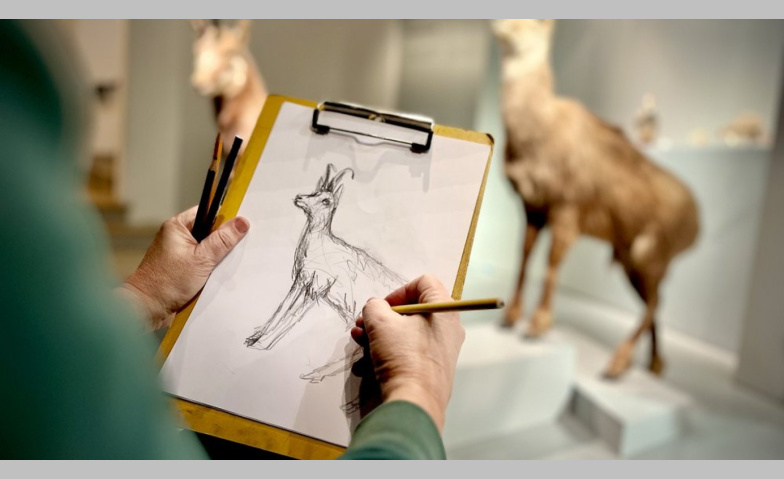 Event-Image for 'Offenes Zeichnen im Naturmuseum'
