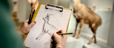 Event-Image for 'Offenes Zeichnen im Naturmuseum'