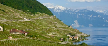 Event-Image for 'Wine & Hike Lavaux'