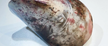 Event-Image for 'Keramikausstellung Zsuzsa Schneider'