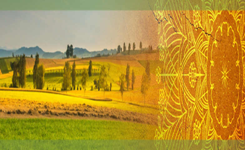 Yoga am Ort der Meditation Tickets