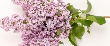 Event-Image for 'Osterglocken'