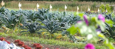 Event-Image for 'Tag der offenen G&auml;rten'