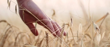 Event-Image for 'M&auml;rchenmatin&eacute;e - "Geschenk des Altwerdens"'