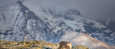 Event-Image for 'Patagonien - Explora Live Show'