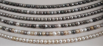 Organisateur de PERLENZAUBER - ZAUBERPERLEN