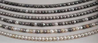 Organisateur de PERLENZAUBER - ZAUBERPERLEN