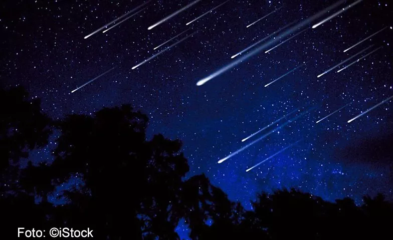 Spezialvorführung: Sternschnuppen – Spektakel am Nachthimmel Sternwarte SIRIUS Billets