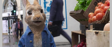 Event-Image for 'Peter Hase 2: Ein Hase macht sich vom Acker'