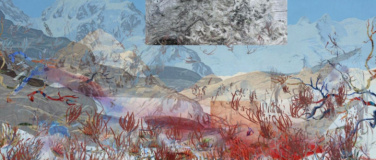Event-Image for 'Petra Cortright'