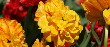 Event-Image for 'Fit in den Fr&uuml;hling - Entschlacken und Pfunde verlieren'