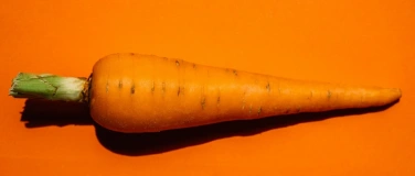 Event-Image for 'Rüeblisounds'