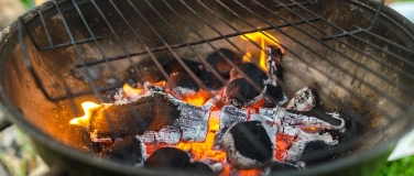 Event-Image for 'August 1st BBQ at the lakeside in Züri'