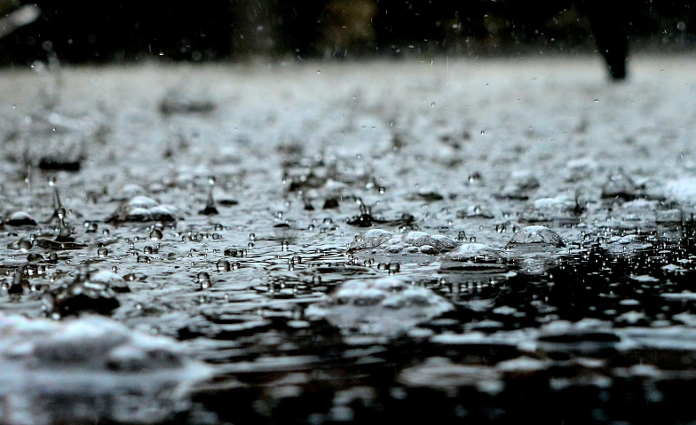 «Regen – Eine Liebeserklärung» von Ferdinand von Schirach Tickets