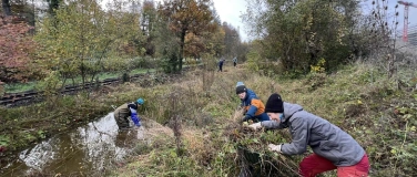 Event-Image for 'Pflegearbeiten in der «Weiheranlage Hard»'
