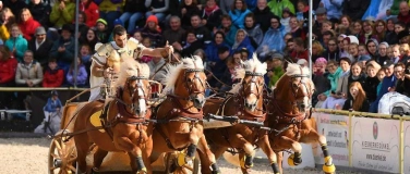 Event-Image for 'Pferde Parade 2024 in Balsthal'