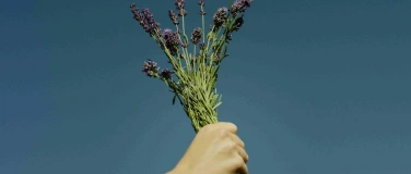 Event-Image for 'Vortrag "Gest&auml;rkt durch die Wechseljahre"'