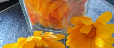 Event-Image for 'Heilkr&auml;uterTag - Salben & Tinkturen'
