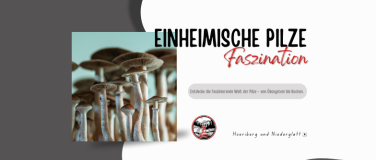 Event-Image for 'Faszination einheimische Pilze'