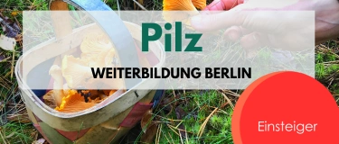 Event-Image for 'Pilz Weiterbildung für Einsteiger Berlin'